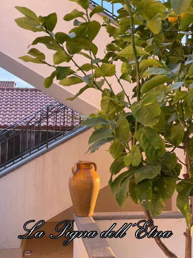 La Pigna Dell'Etna Apartment Nicolosi Exterior foto